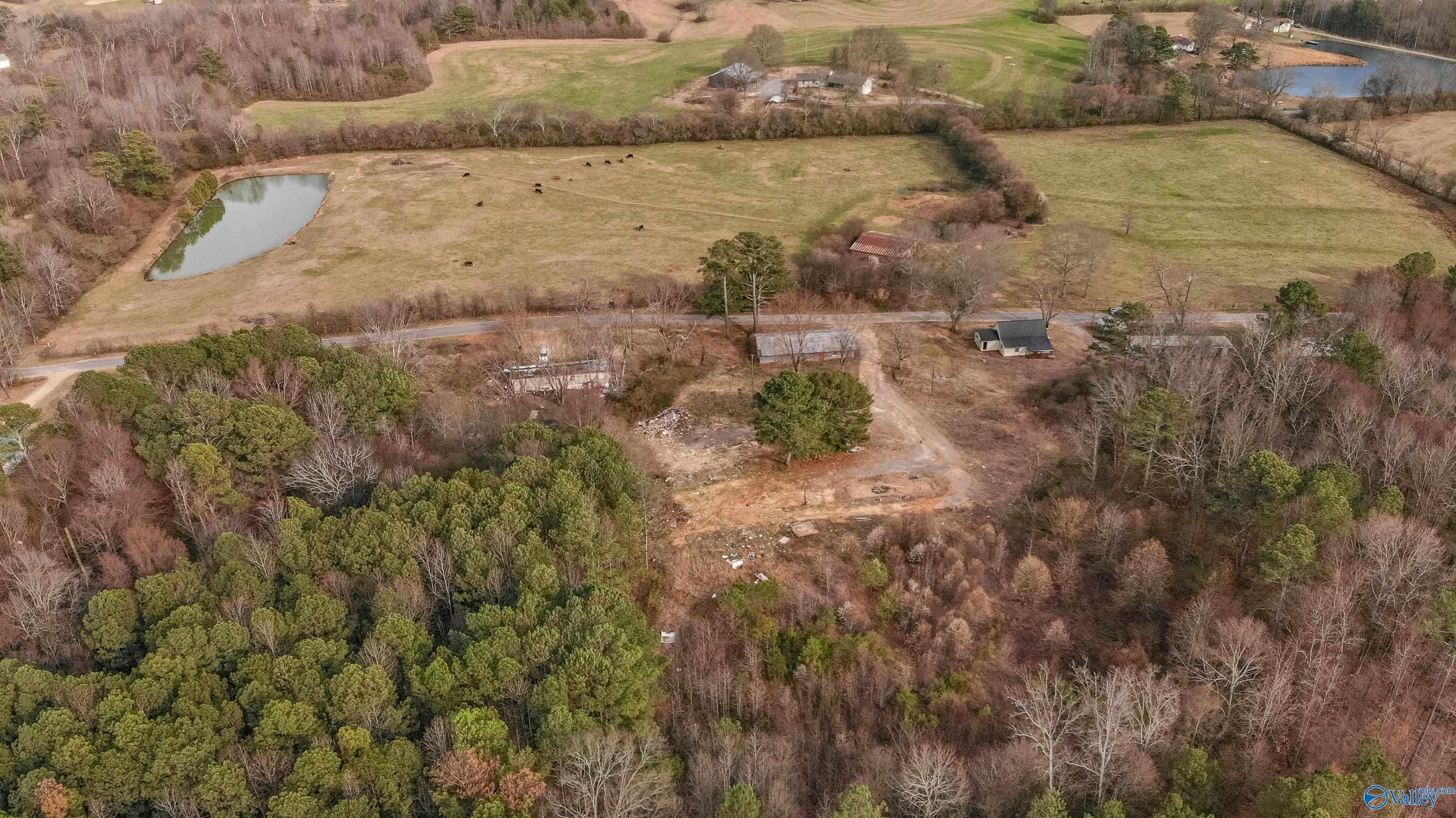 863 Pleasant Grove Cut Off Road, Albertville, Alabama image 8