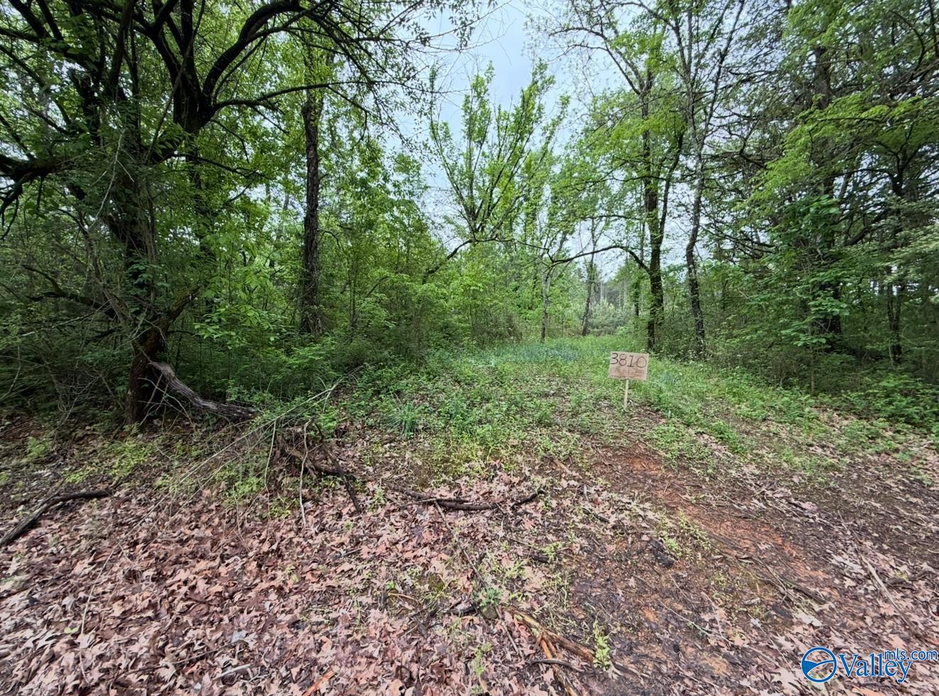3810 County Road 59, Moulton, Alabama image 1