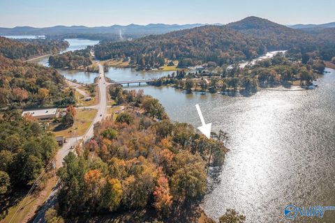 Vacant Land For Sale - 4 Rainbow Drive<br/> Etowah County, Rainbow City, AL 35906