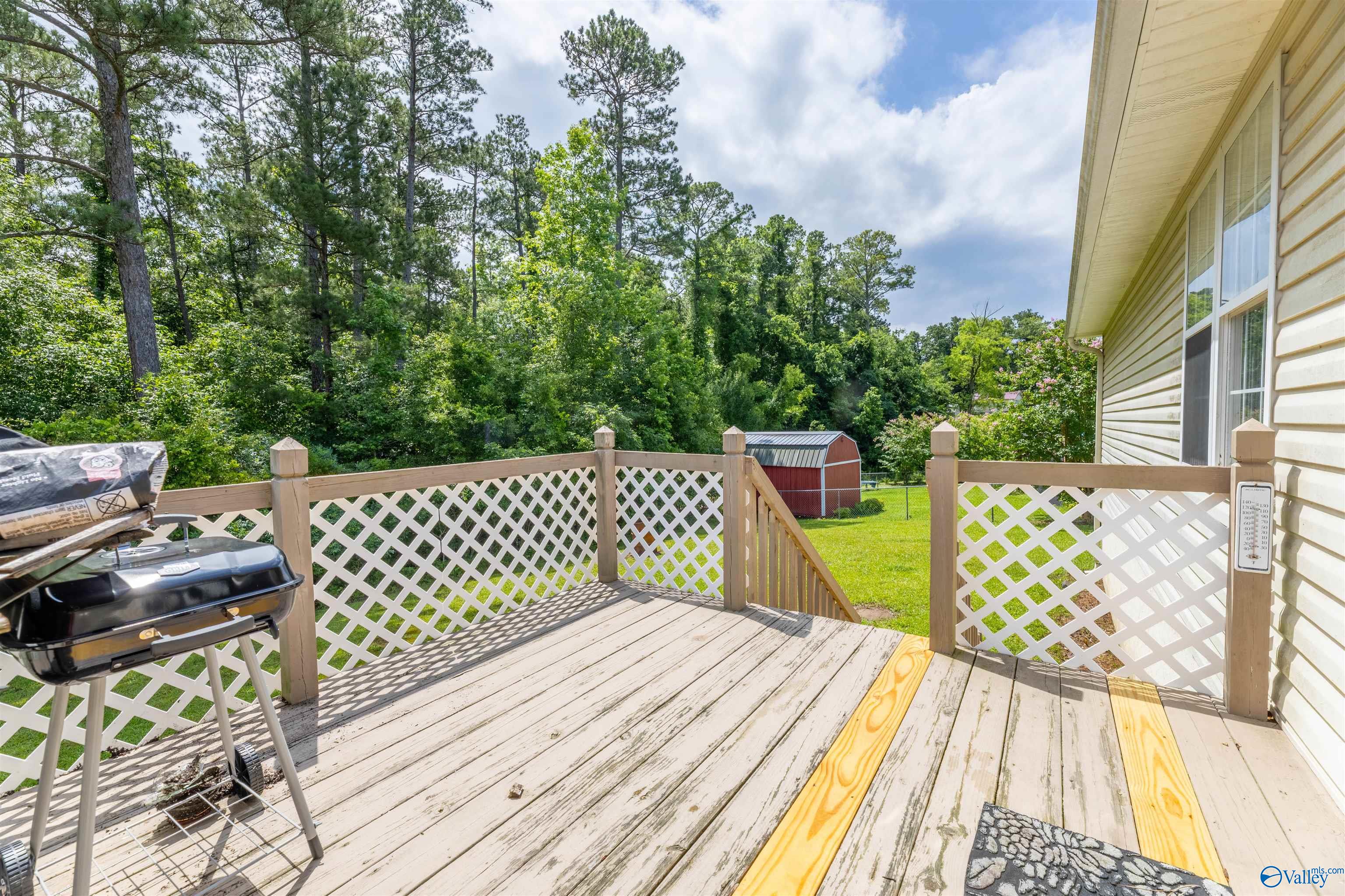 2823 Langdale Street, Hokes Bluff, Alabama image 39