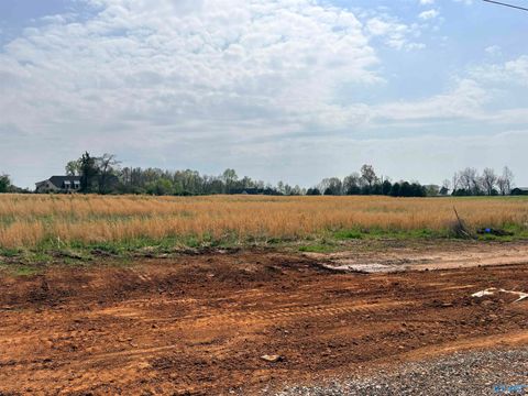 Vacant Land For Sale - 23678 Old Homeplace Way<br/> Limestone County, Athens, AL 35613