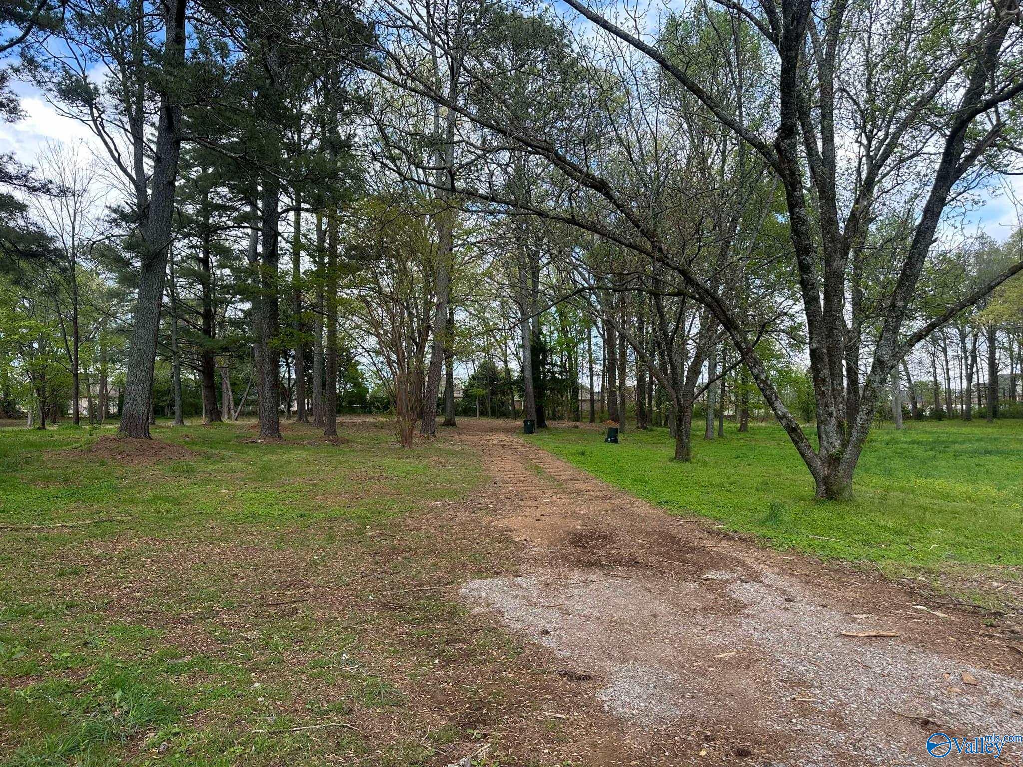 Lot 5 Pepper Road, Athens, Alabama image 3