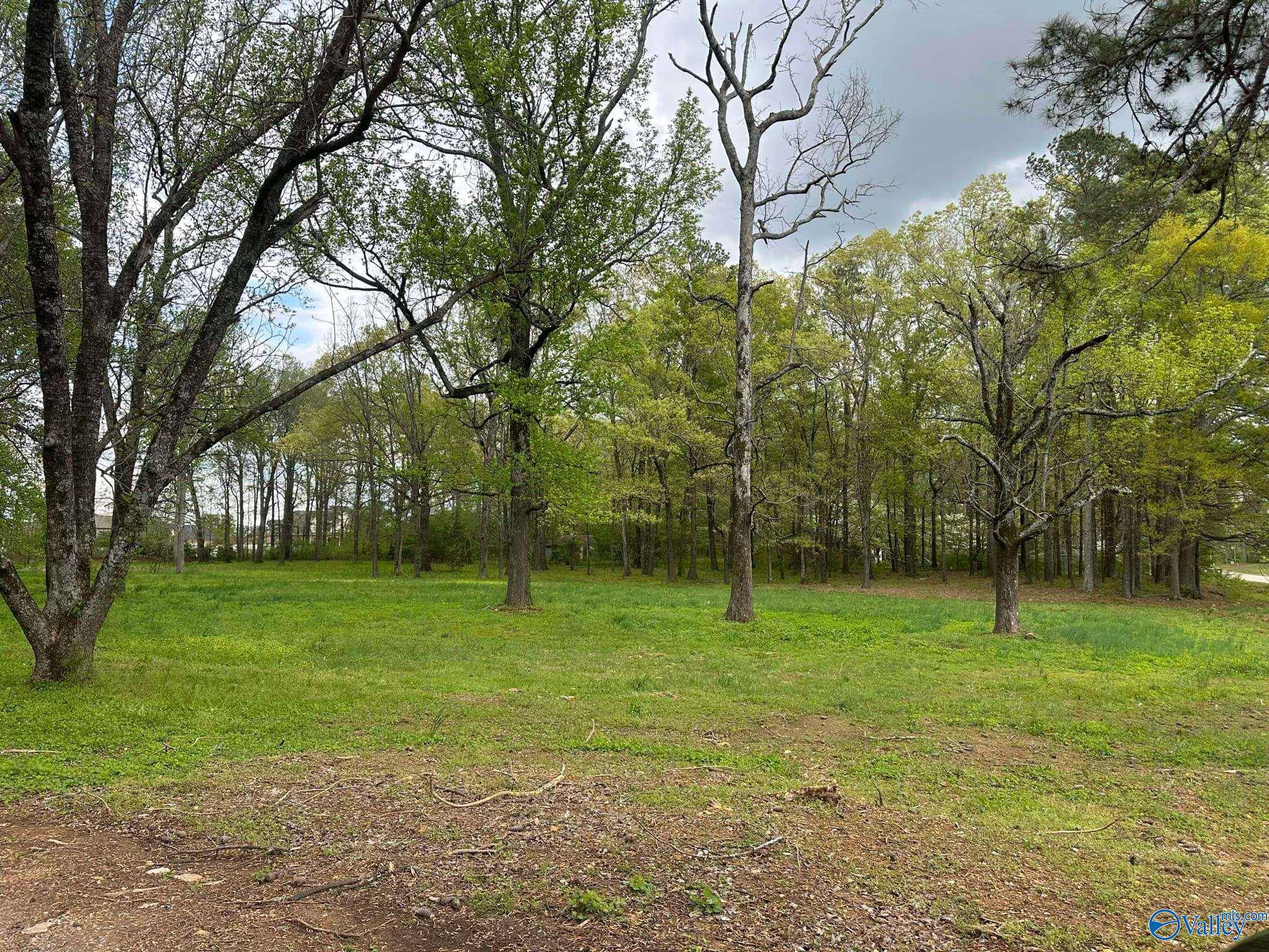 Lot 5 Pepper Road, Athens, Alabama image 4