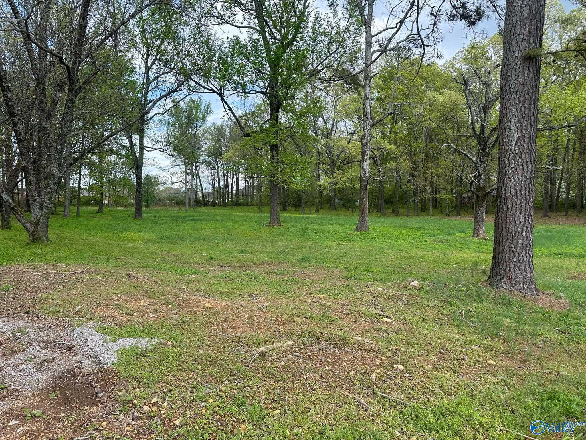 Lot 5 Pepper Road, Athens, Alabama image 5