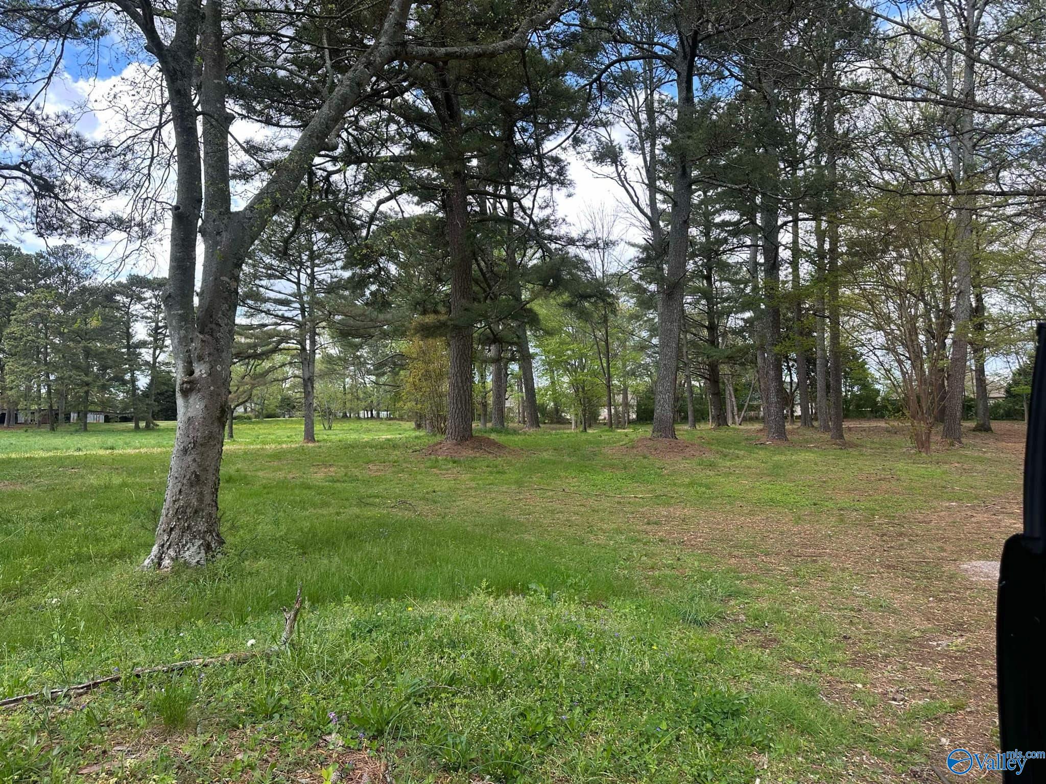 Lot 5 Pepper Road, Athens, Alabama image 2