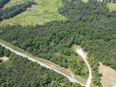 Vacant Land For Sale - 10267 Alabama Highway 101<br/> Lawrence County, Town Creek, AL 35672