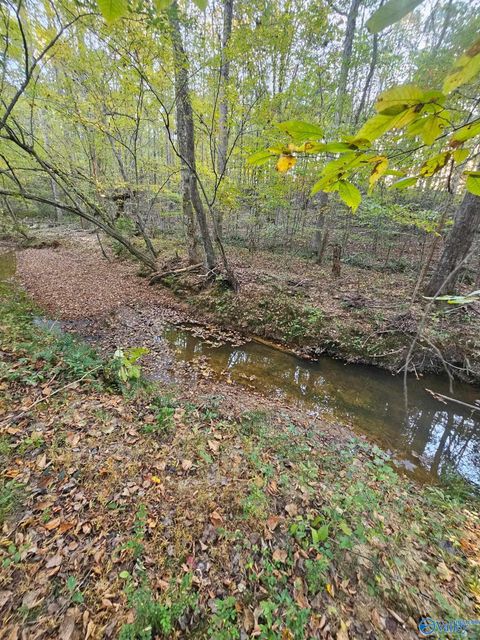 Vacant Land For Sale - 10267 Alabama Highway 101<br/> Town Creek, AL 35672