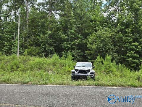 Vacant Land For Sale - 36 ACRES Clairmont Springs Road<br/> Lineville, AL 36266