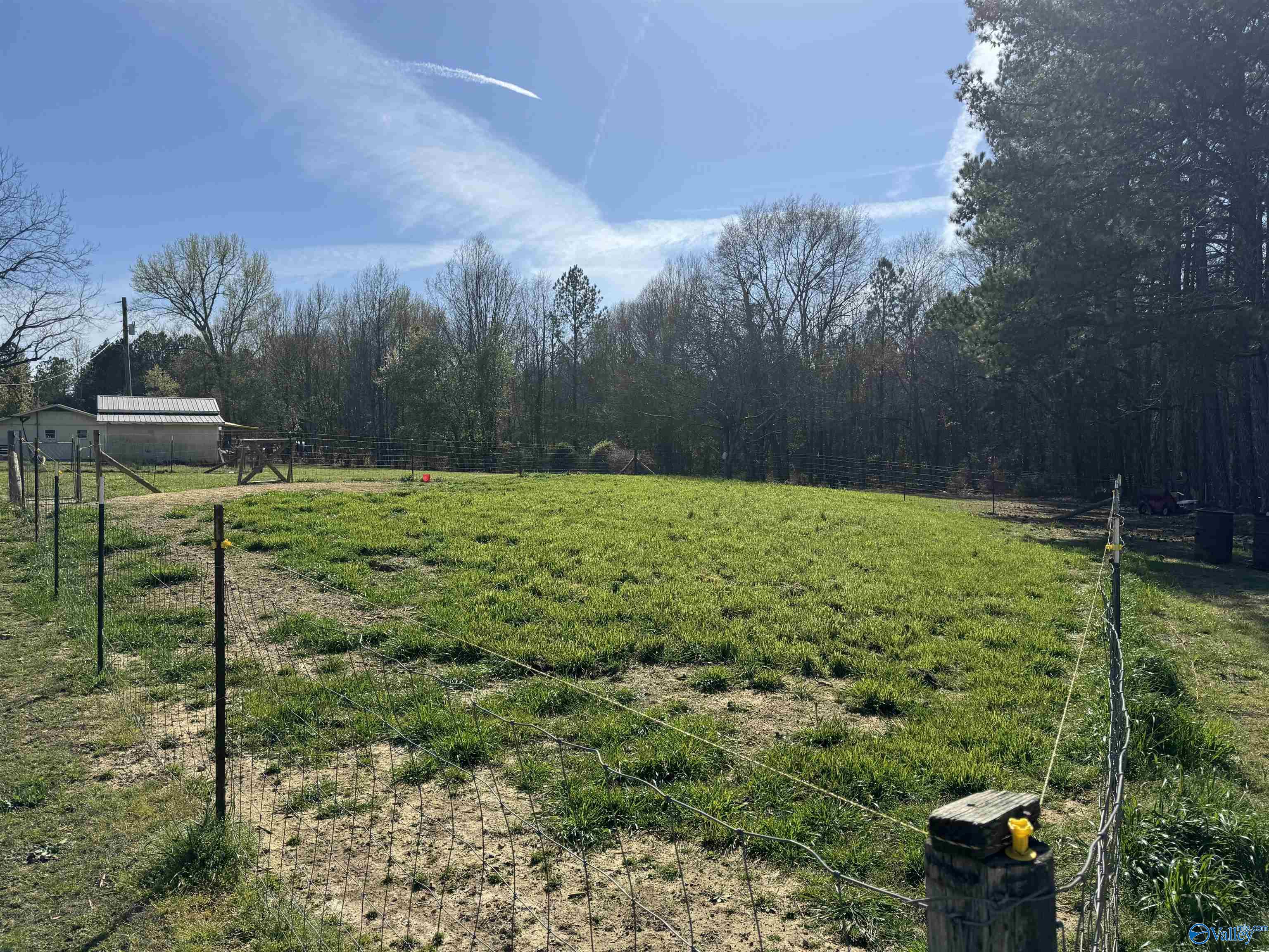 3065 County Road 69, Centre, Alabama image 28