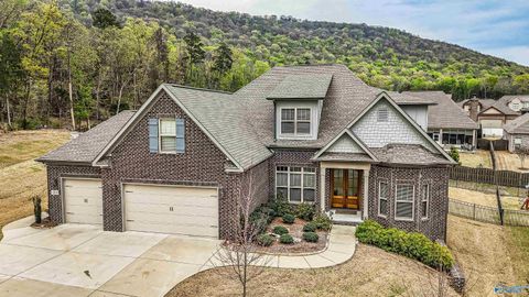 Homes For Sale - 1314 Pecan Point Way<br/> Huntsville, AL 35803