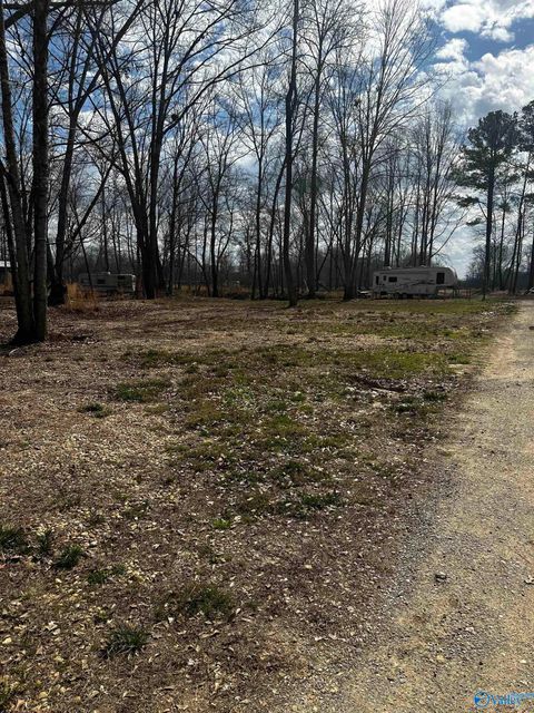 Vacant Land For Sale - 1725 County Road 182 #2,3,4<br/> Cherokee County, Cedar Bluff, AL 35959