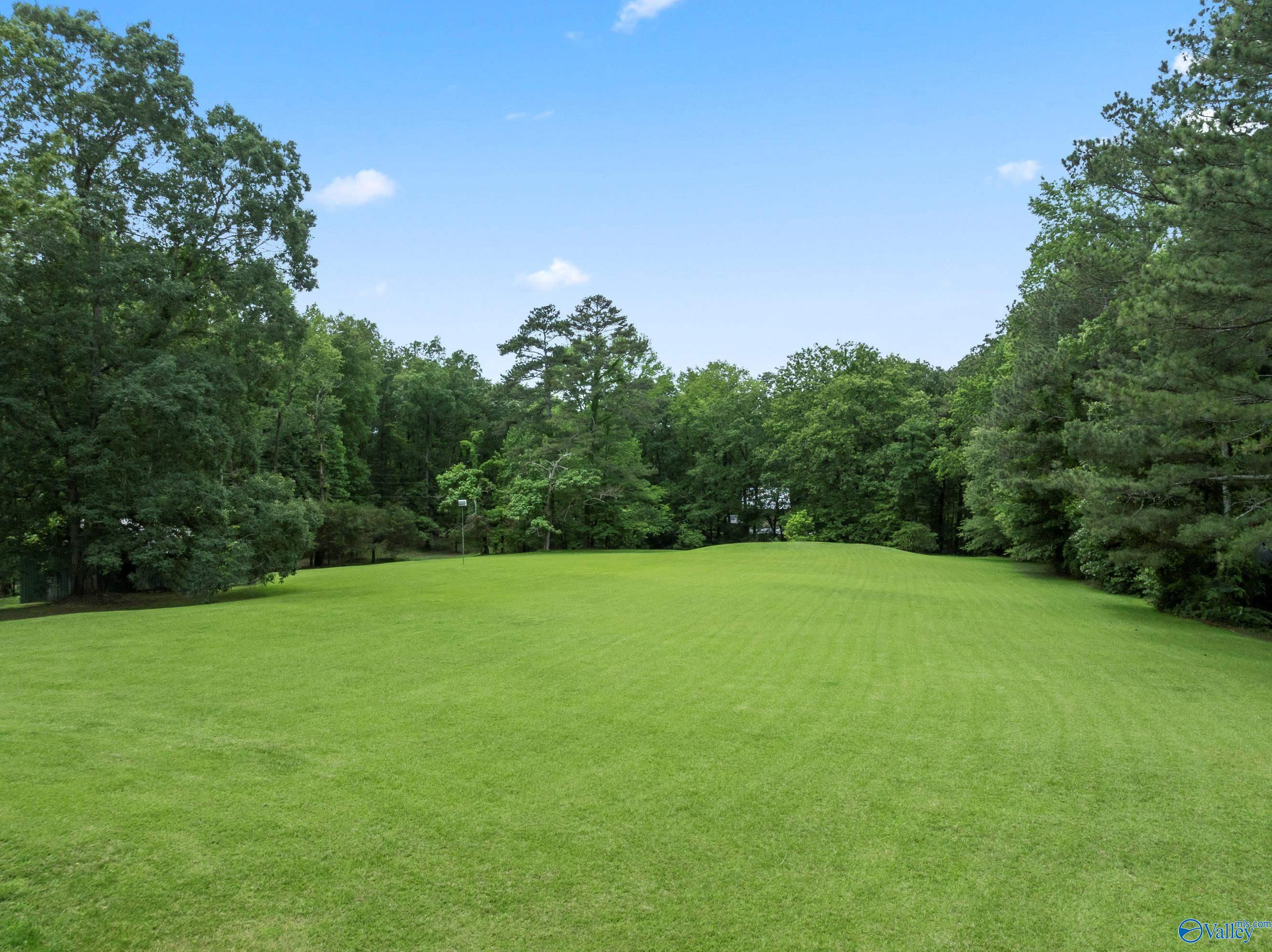 1467 Apple Grove Road, Somerville, Alabama image 37