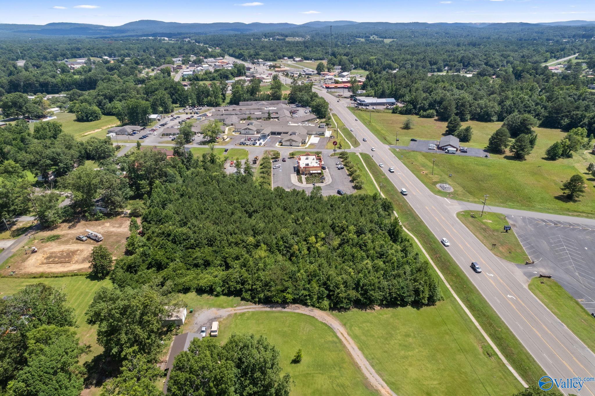 Lot 1 Highway 31, Hanceville, Alabama image 8