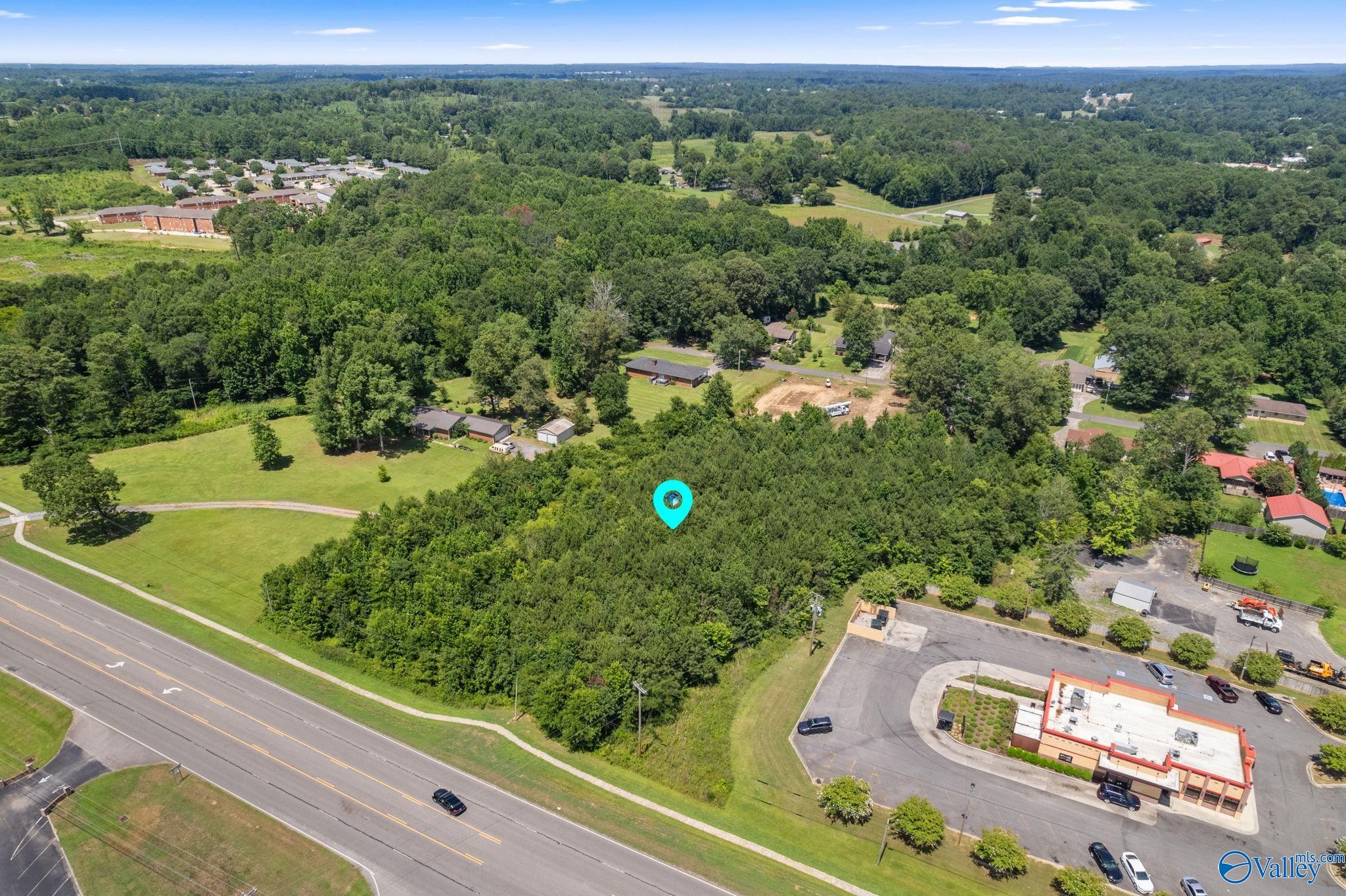 Lot 1 Highway 31, Hanceville, Alabama image 1