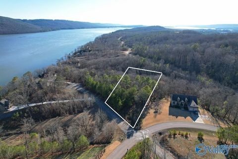 Vacant Land For Sale - LOT 63 Heritage Court<br/> Jackson County, Scottsboro, AL 35769