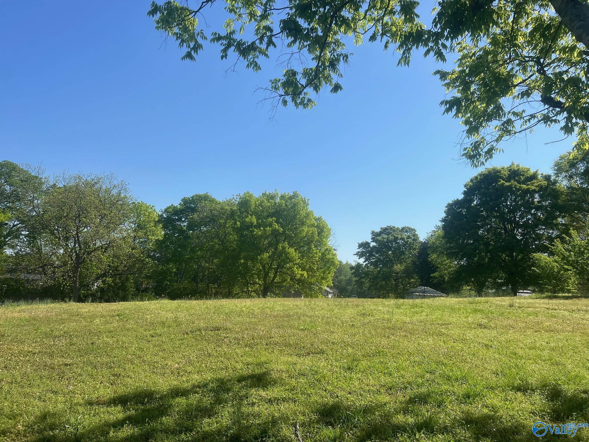 3957 Lister Ferry Road, Rainbow City, Alabama image 4