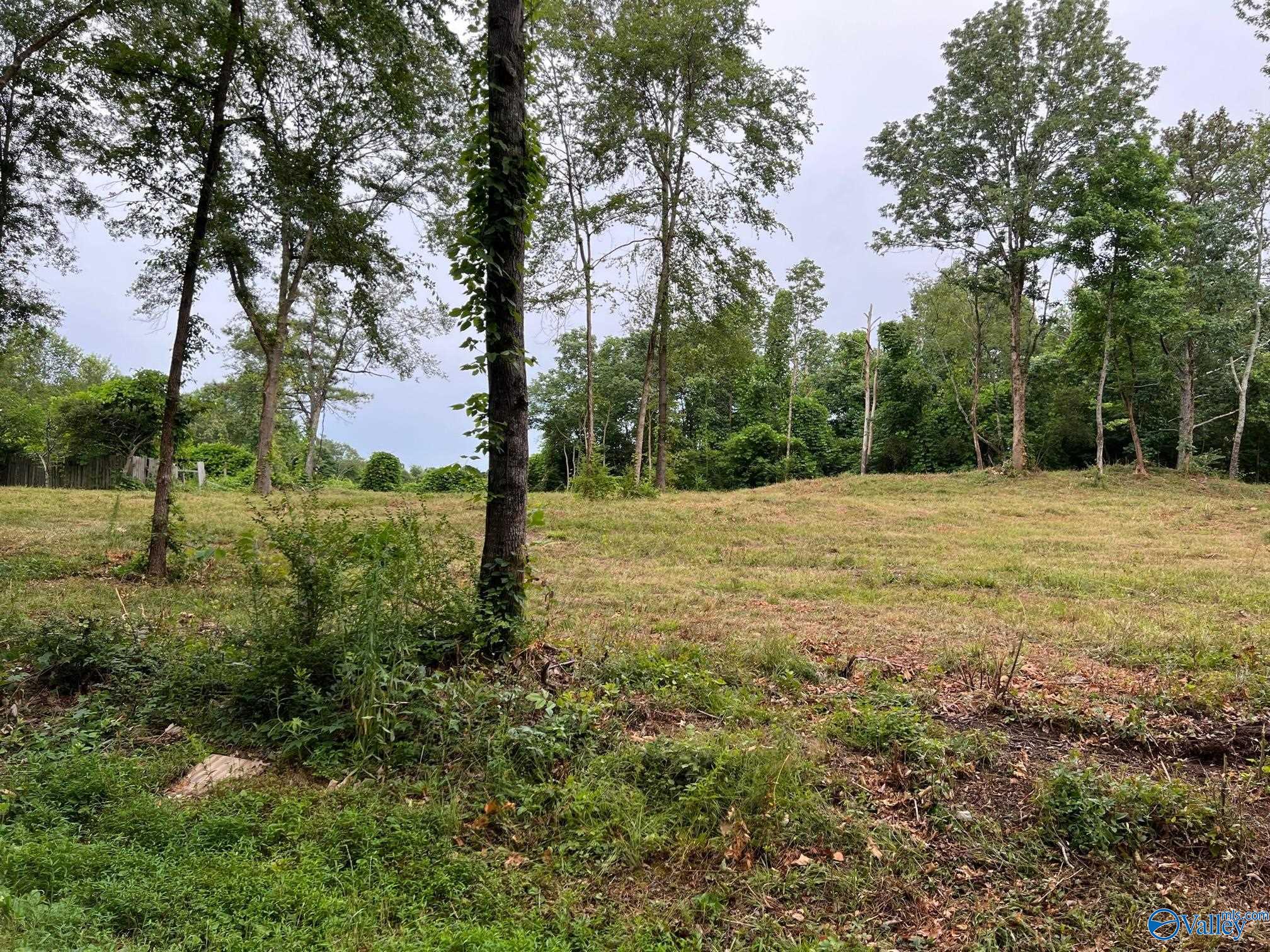 Lot 3 Cherrywood Drive, Guntersville, Alabama image 1