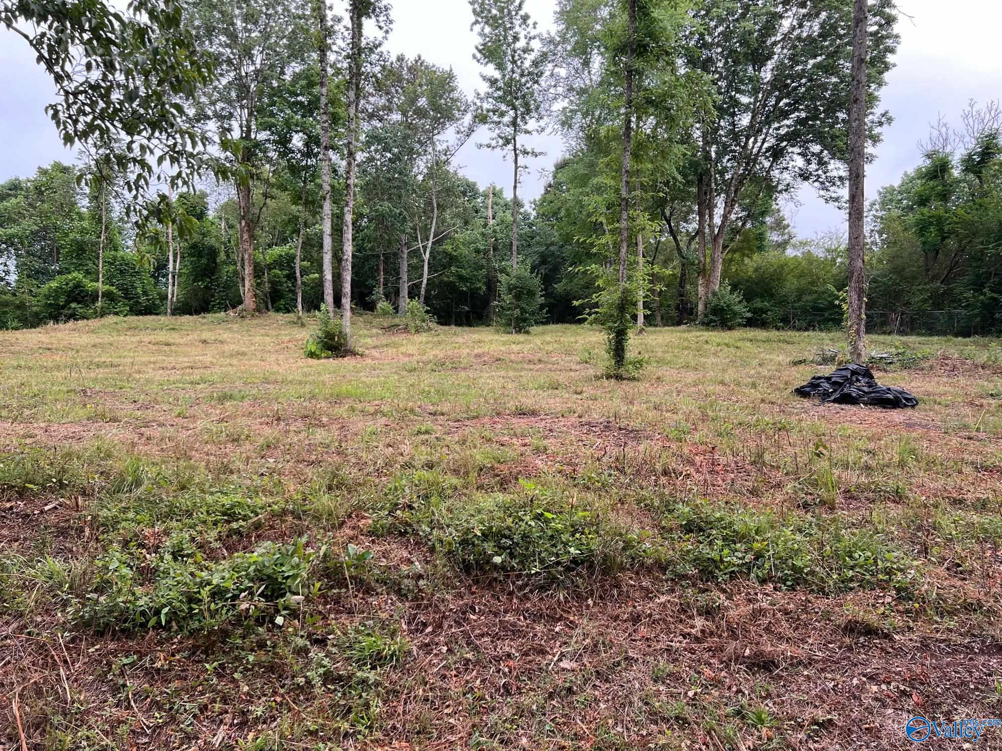 Lot 3 Cherrywood Drive, Guntersville, Alabama image 2