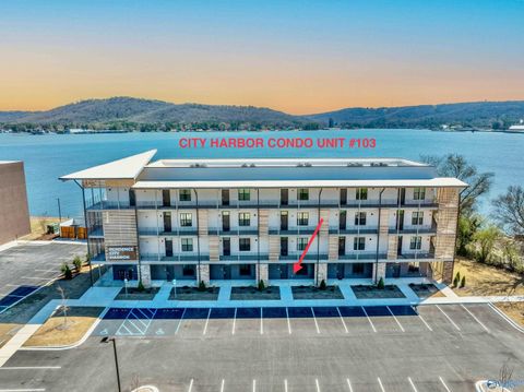 2699 - 103 Paddle Wheel Drive 103 Guntersville AL 35976