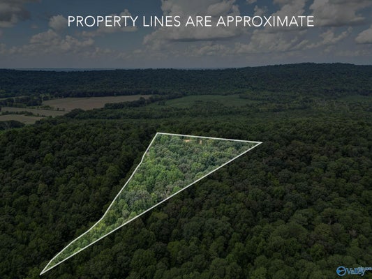 1841 BUD UMPHREY RD, BOAZ, AL 35956 - Image d06dcee18142e5d92e8e81140d6a4b6a/4119328742