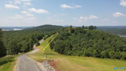 Vacant Land For Sale - LOT 212 County Road 1022 #212<br/> Cherokee County, Cedar Bluff, AL 35959