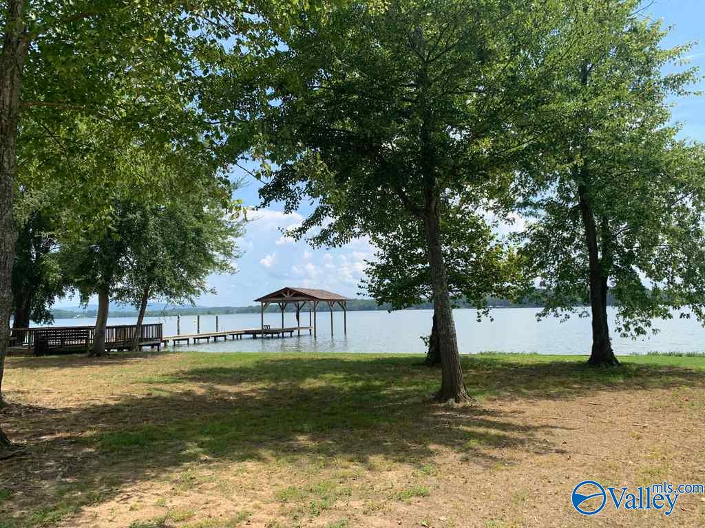 Lot 212 County Road 1022 #212, Cedar Bluff, Alabama image 11