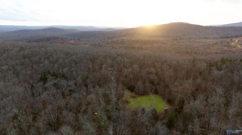 1,068 AC Highway 72 Woodville AL 35776