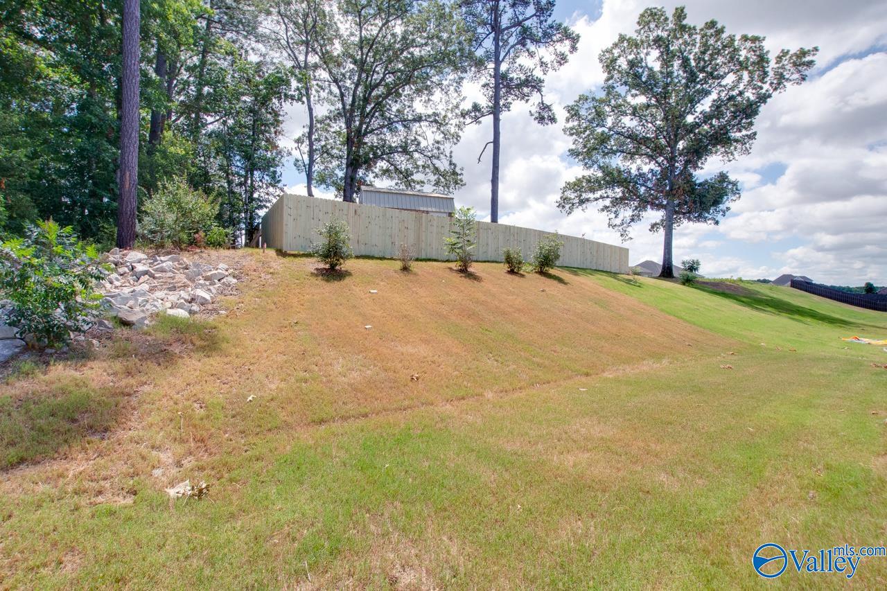 116 Pandilla Drive, Madison, Alabama image 50