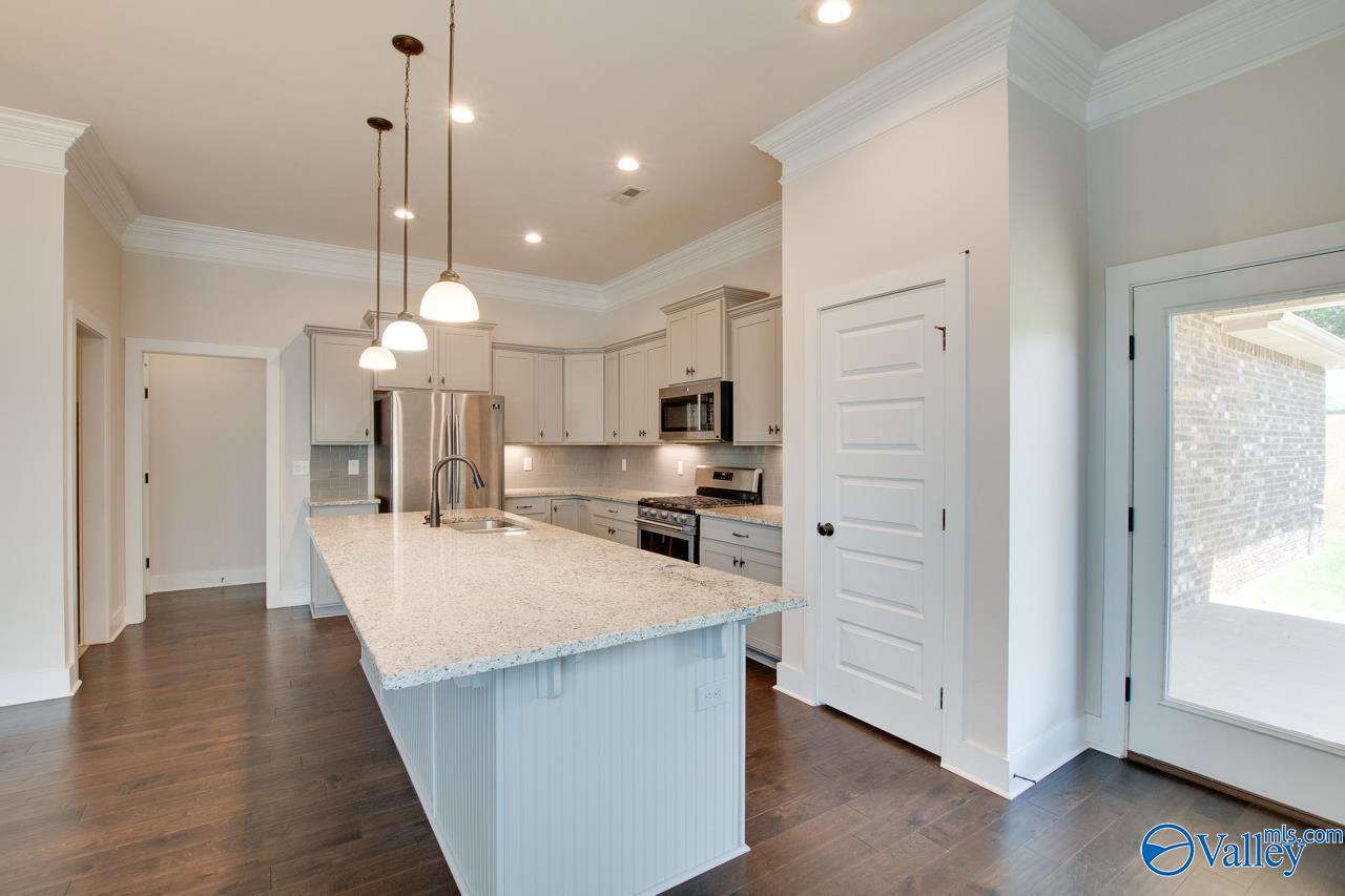 116 Pandilla Drive, Madison, Alabama image 24