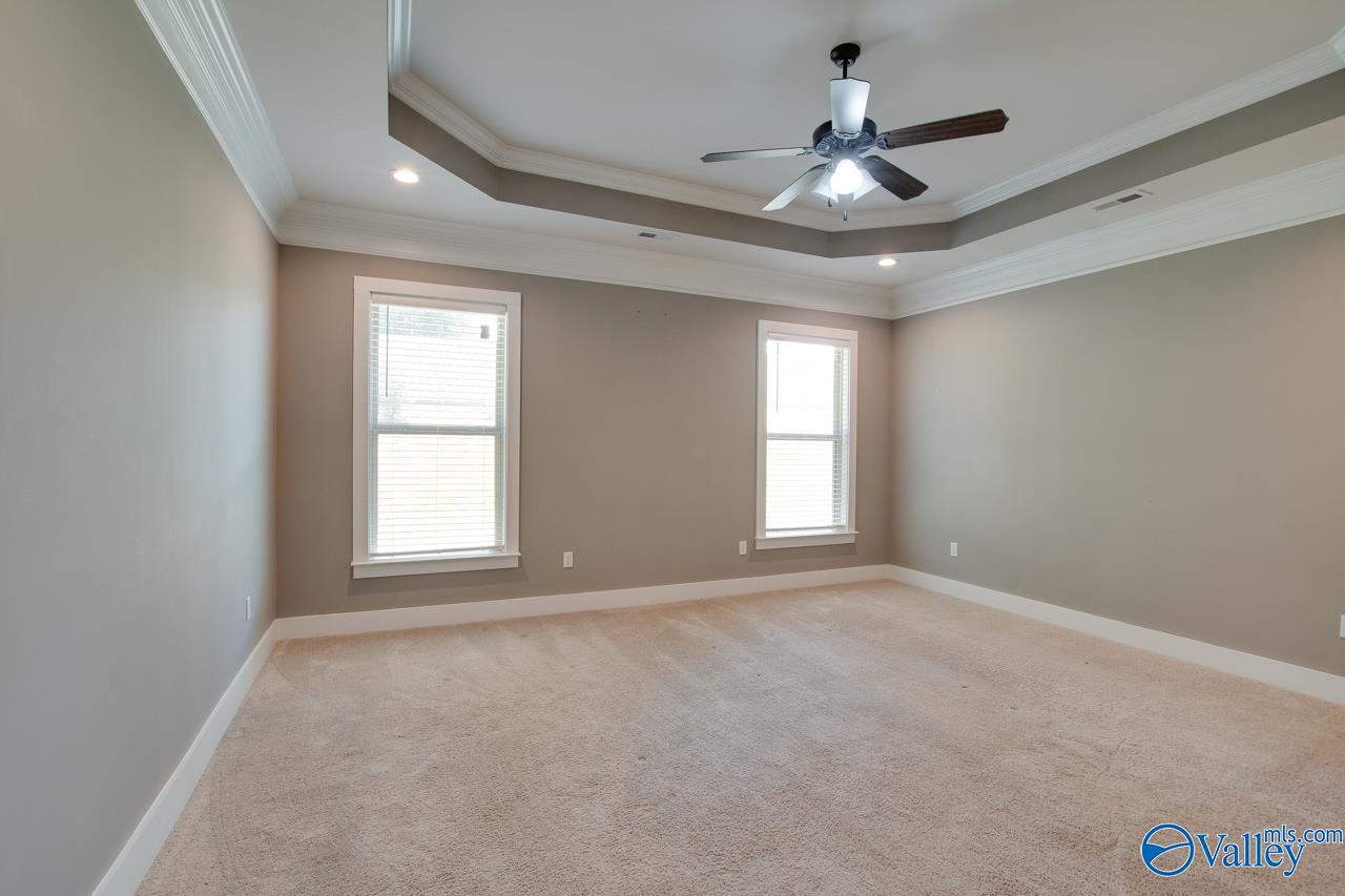 116 Pandilla Drive, Madison, Alabama image 29