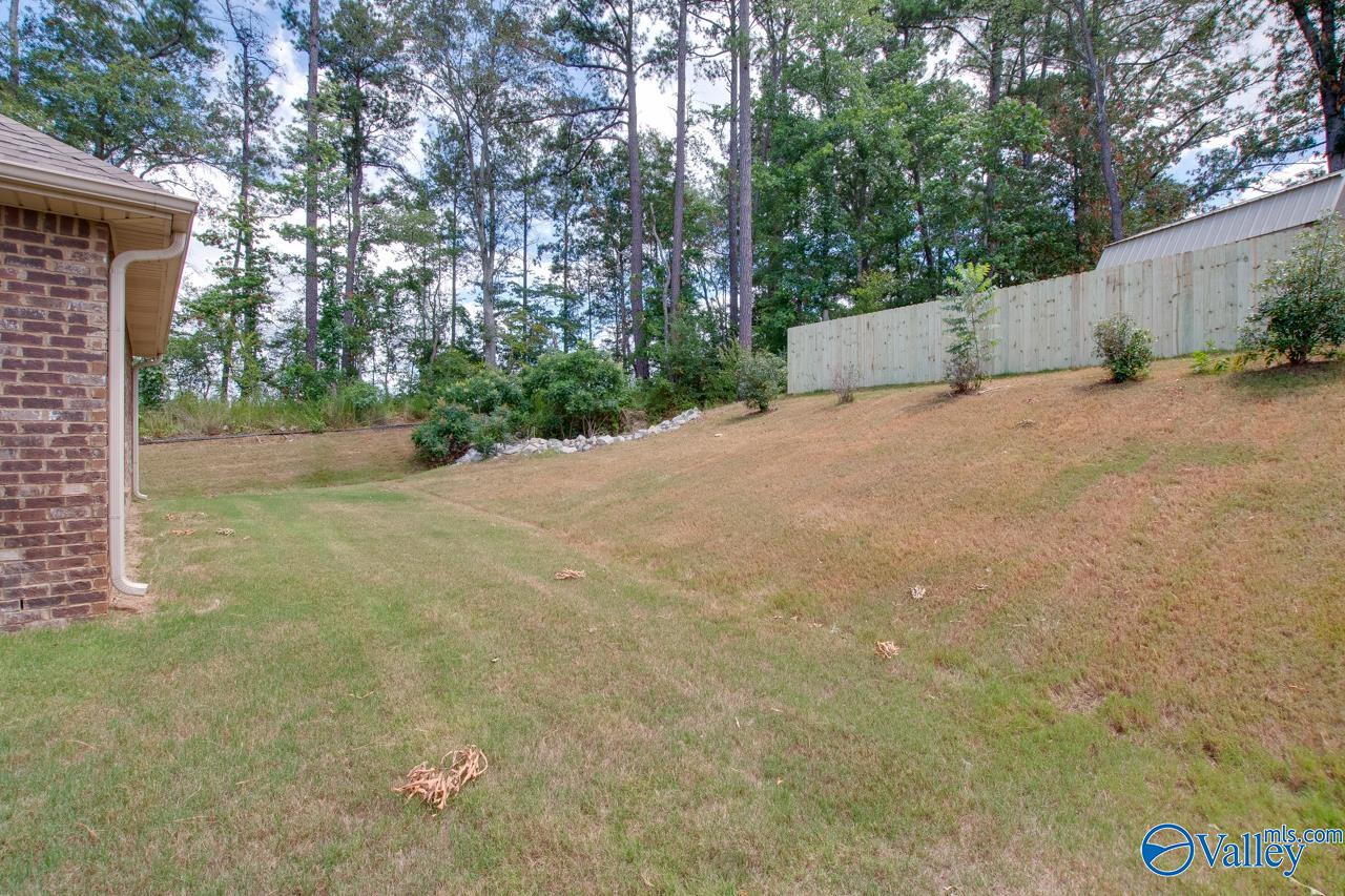 116 Pandilla Drive, Madison, Alabama image 48