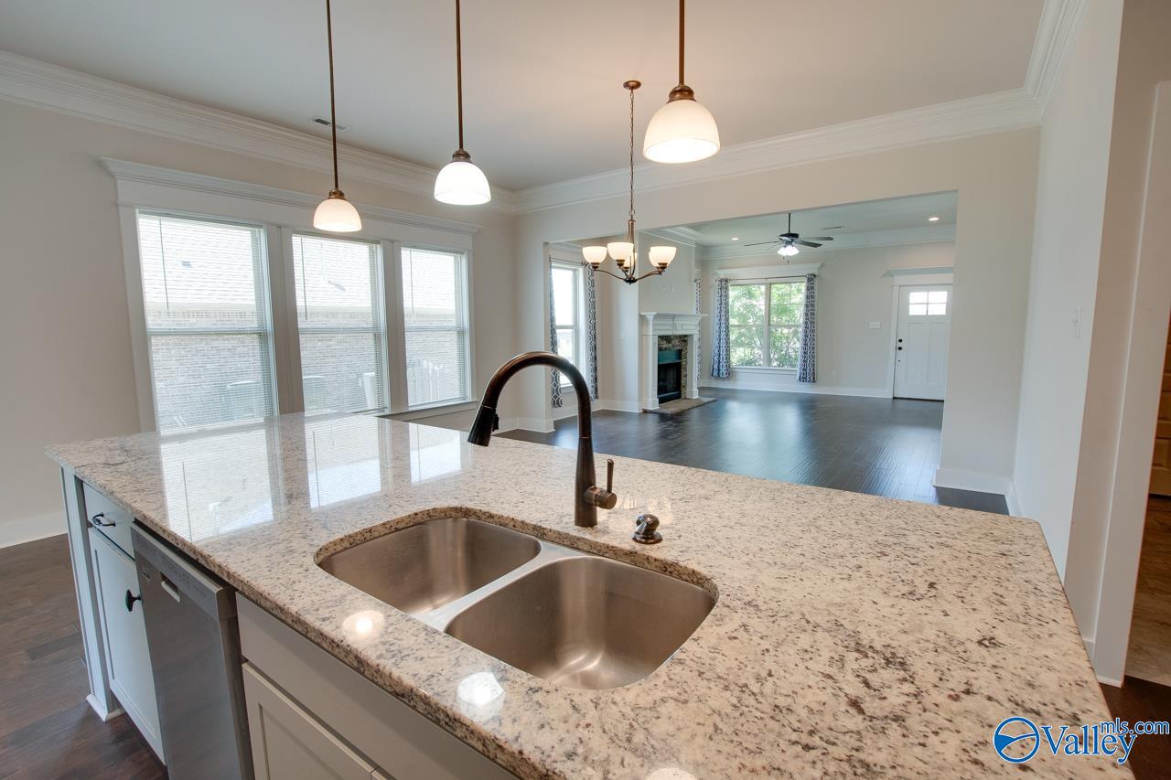 116 Pandilla Drive, Madison, Alabama image 28