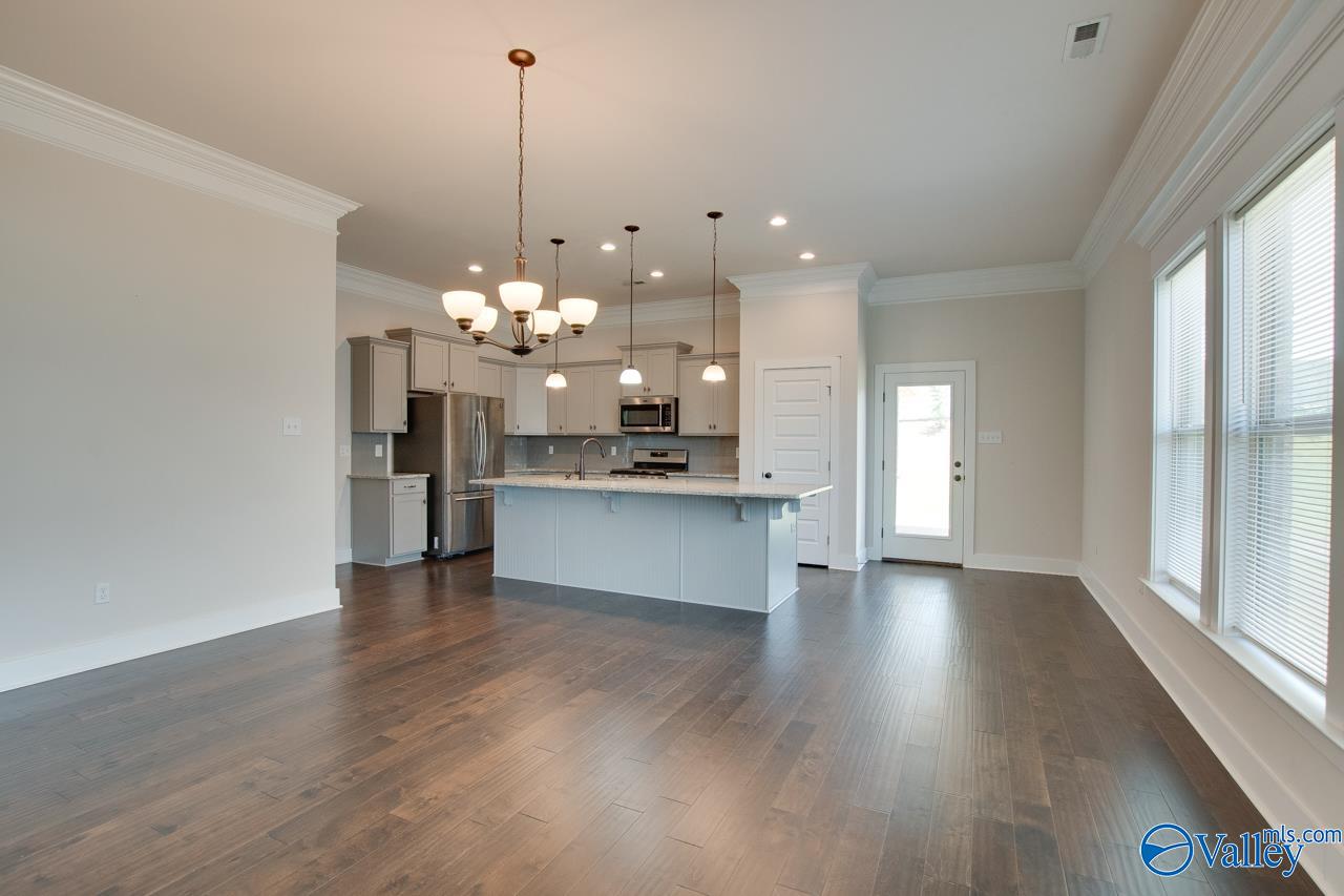 116 Pandilla Drive, Madison, Alabama image 14