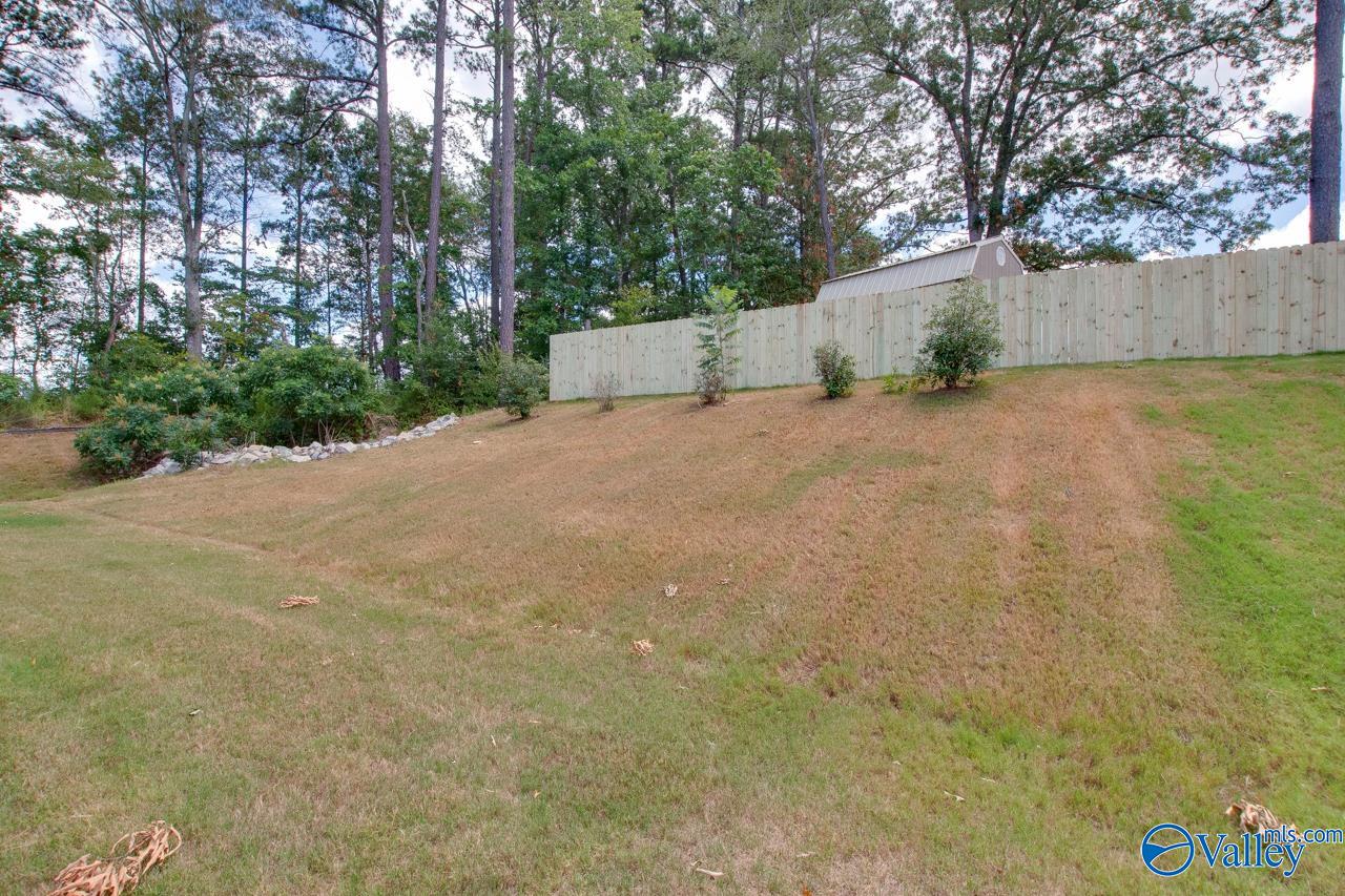 116 Pandilla Drive, Madison, Alabama image 5