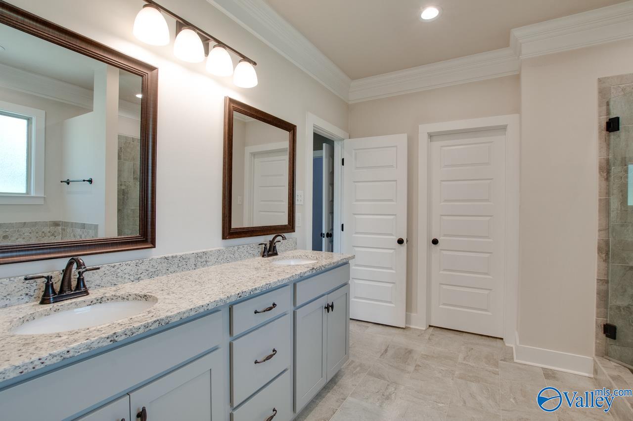 116 Pandilla Drive, Madison, Alabama image 34