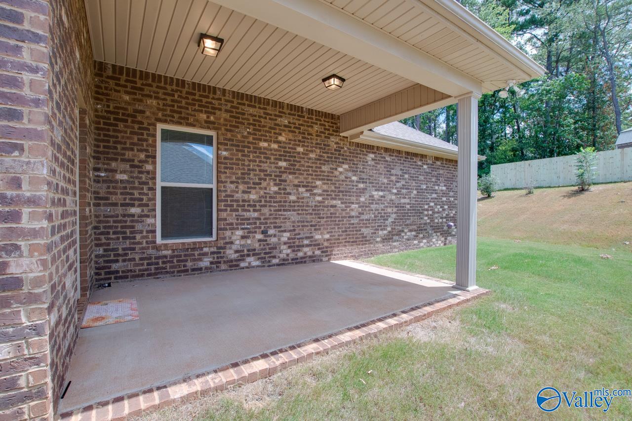 116 Pandilla Drive, Madison, Alabama image 45