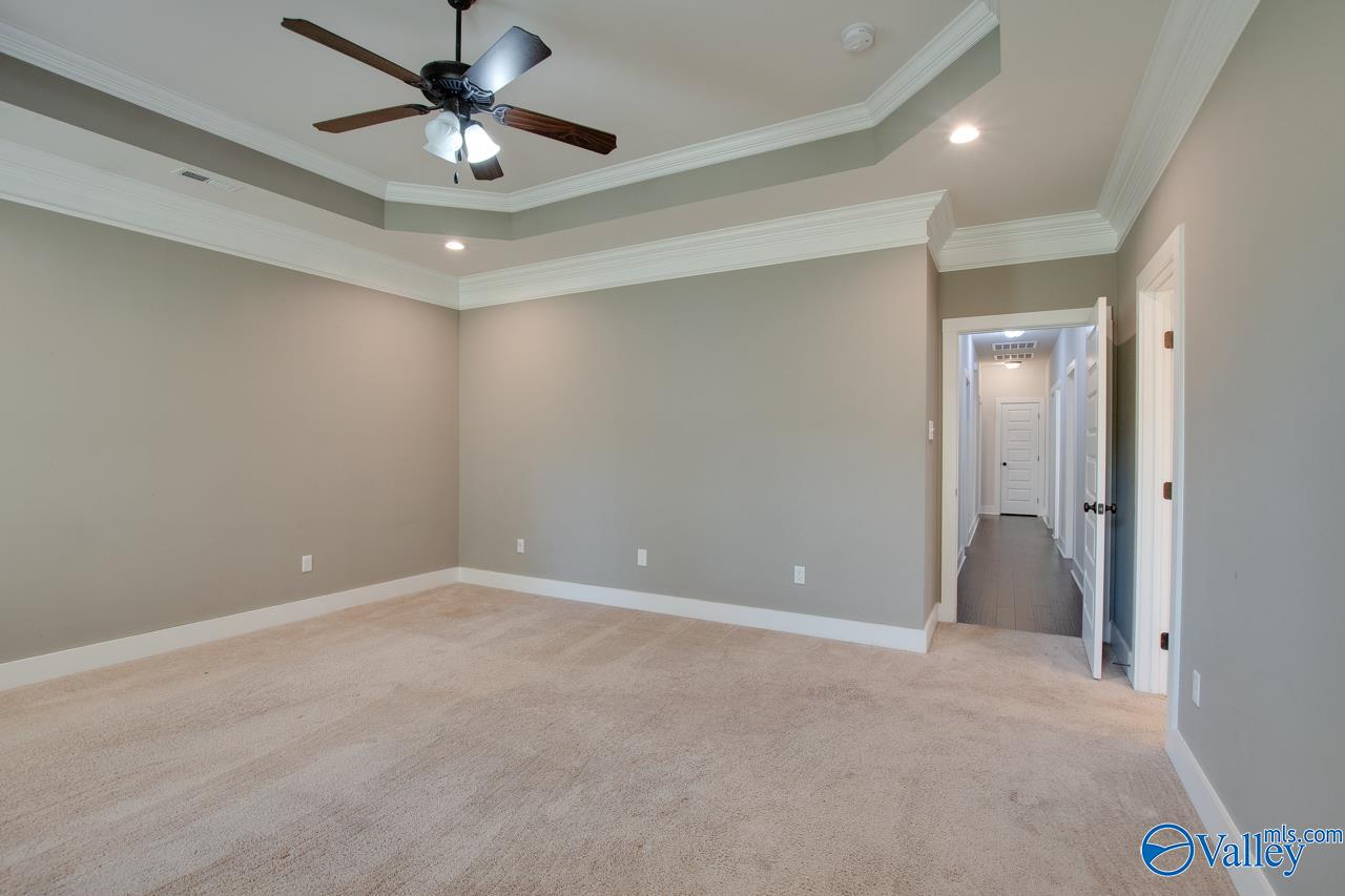 116 Pandilla Drive, Madison, Alabama image 31