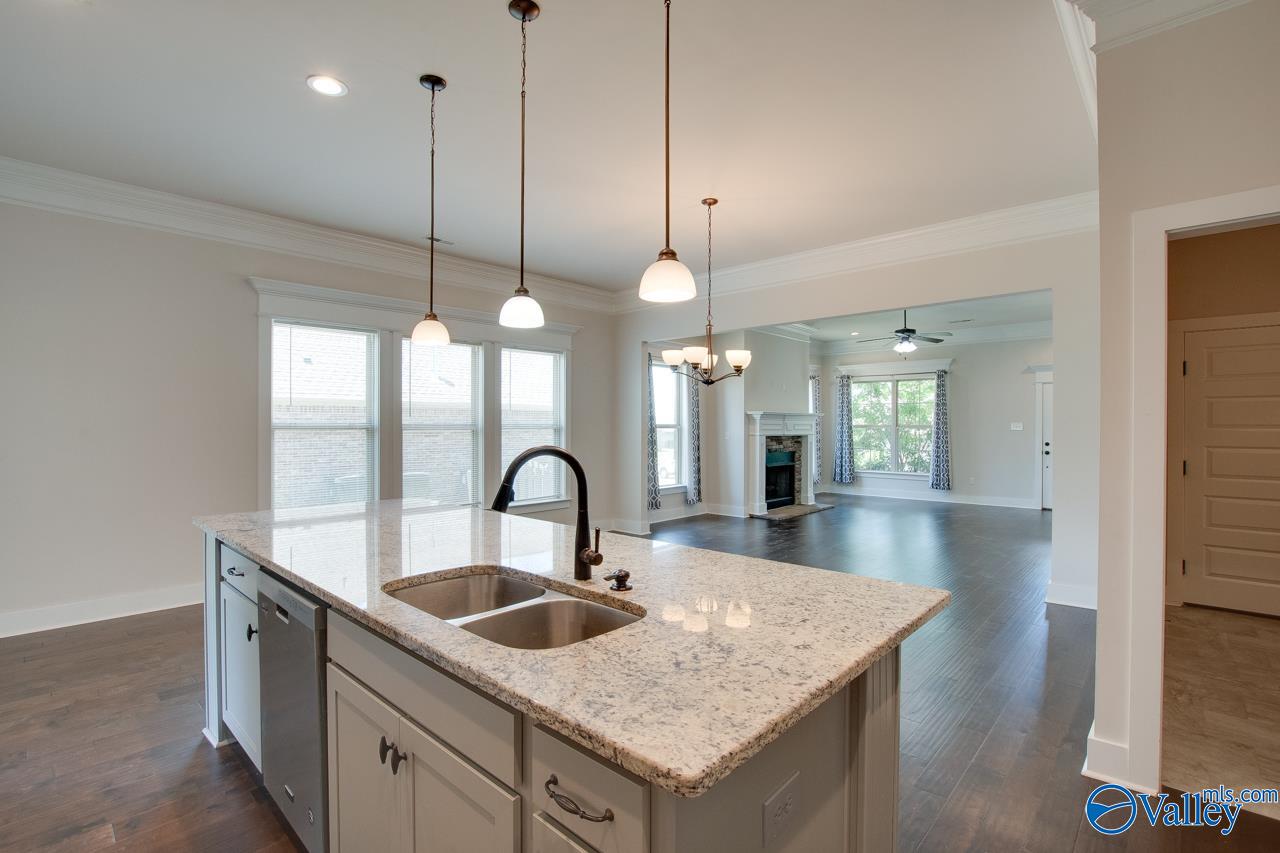 116 Pandilla Drive, Madison, Alabama image 27
