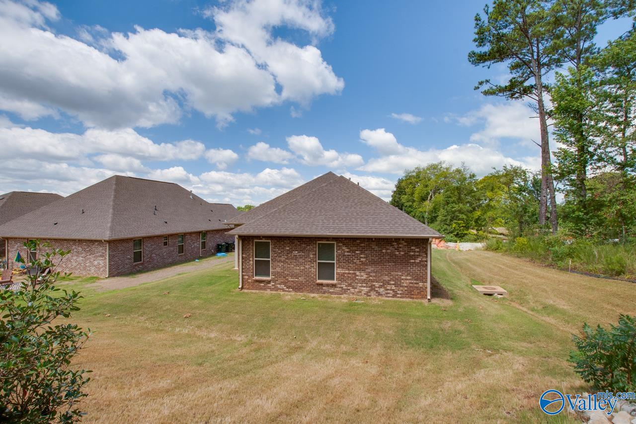 116 Pandilla Drive, Madison, Alabama image 49