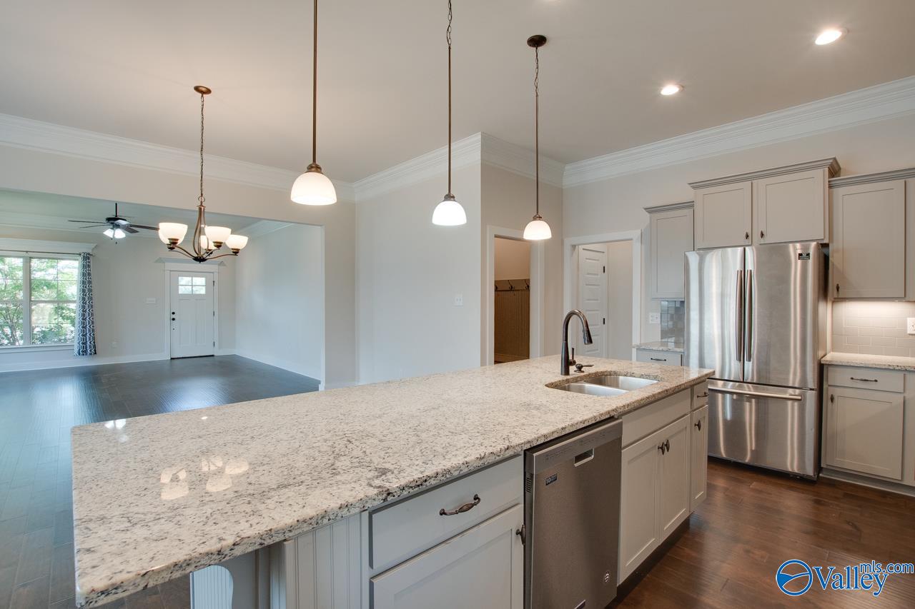 116 Pandilla Drive, Madison, Alabama image 25