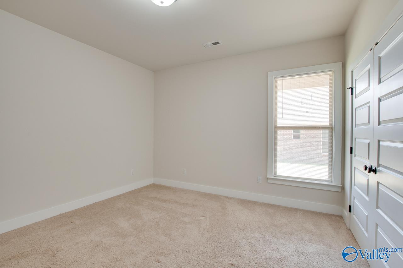 116 Pandilla Drive, Madison, Alabama image 38