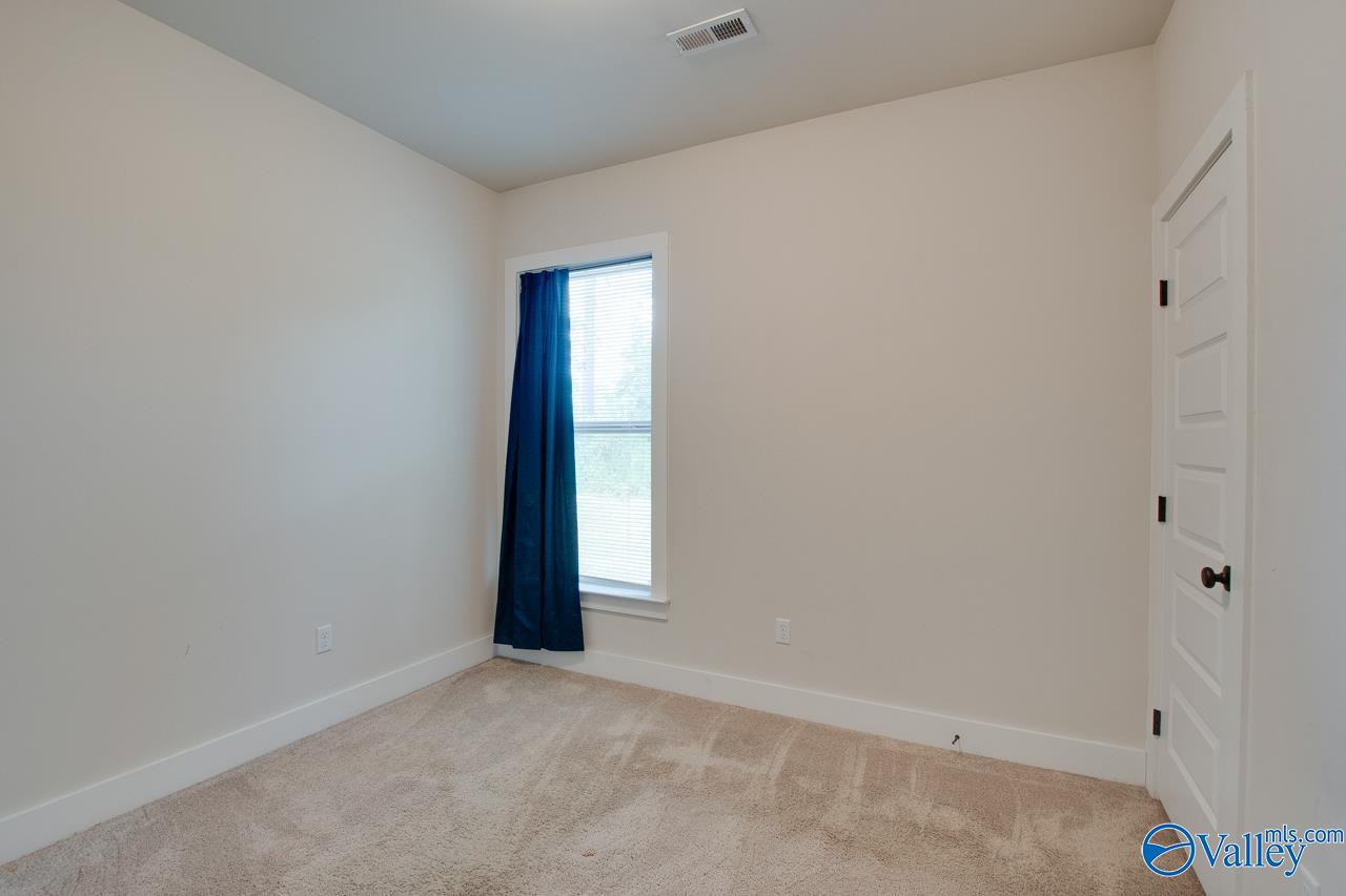 116 Pandilla Drive, Madison, Alabama image 37