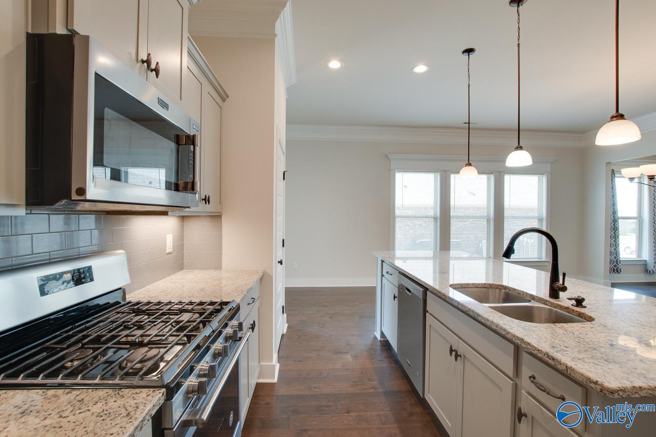 116 Pandilla Drive, Madison, Alabama image 26