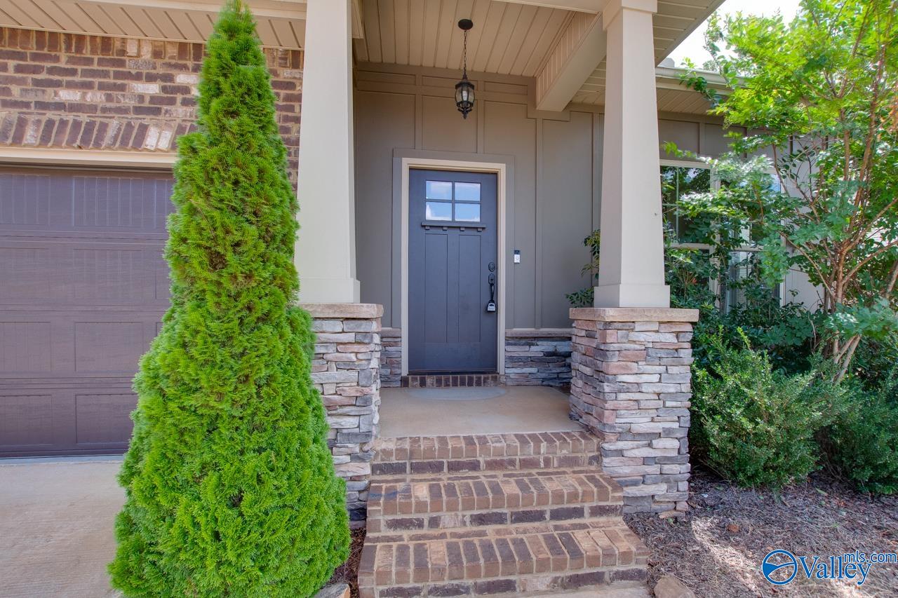 116 Pandilla Drive, Madison, Alabama image 7