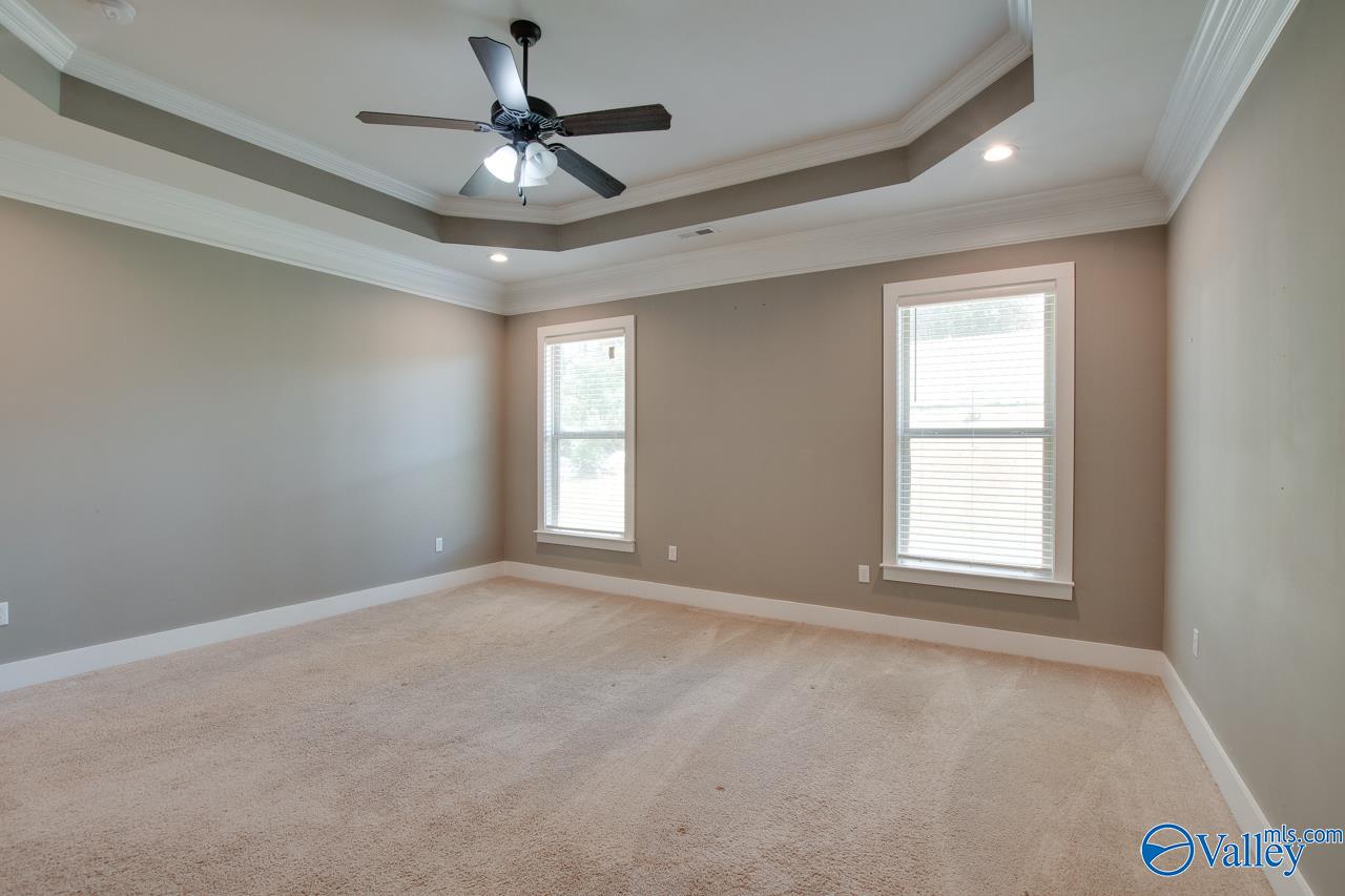 116 Pandilla Drive, Madison, Alabama image 30