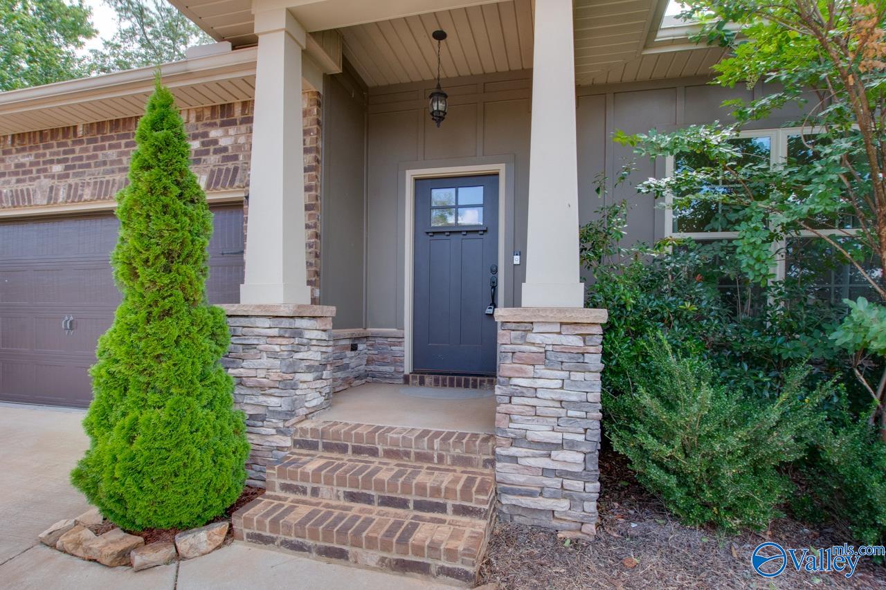116 Pandilla Drive, Madison, Alabama image 6