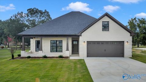204 Washington Avenue New Hope AL 35760