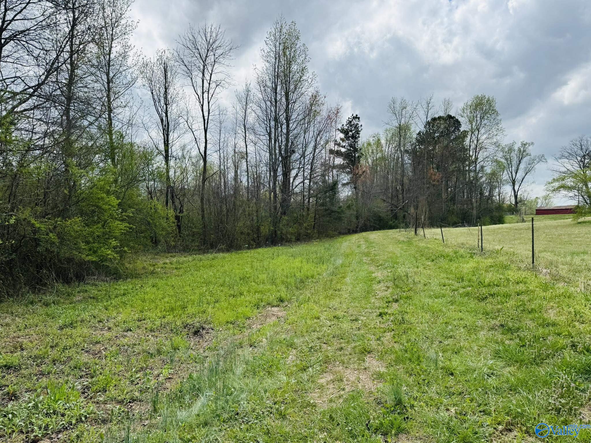 4.02 Acres Liberty Hill Road, Boaz, Alabama image 5