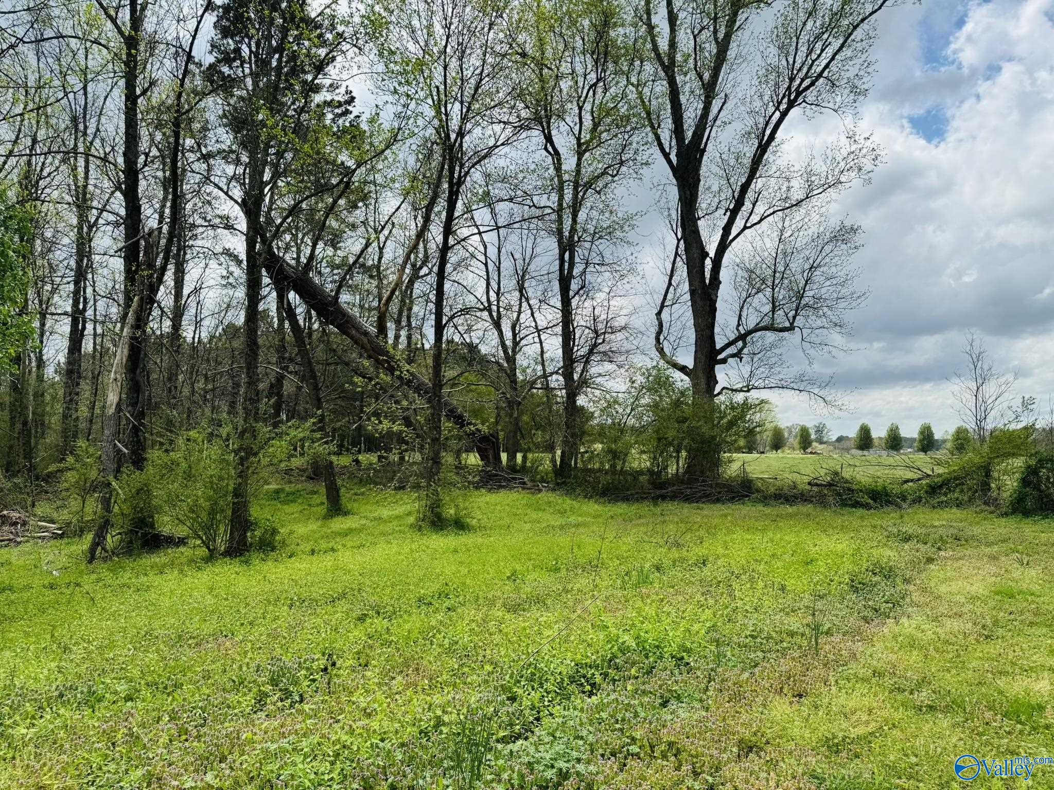 4.02 Acres Liberty Hill Road, Boaz, Alabama image 13