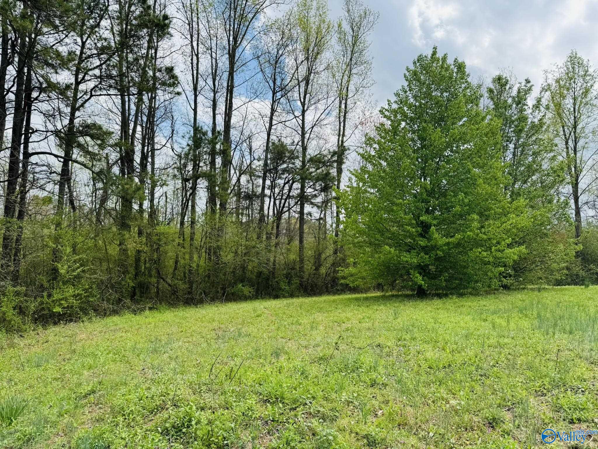 4.02 Acres Liberty Hill Road, Boaz, Alabama image 10